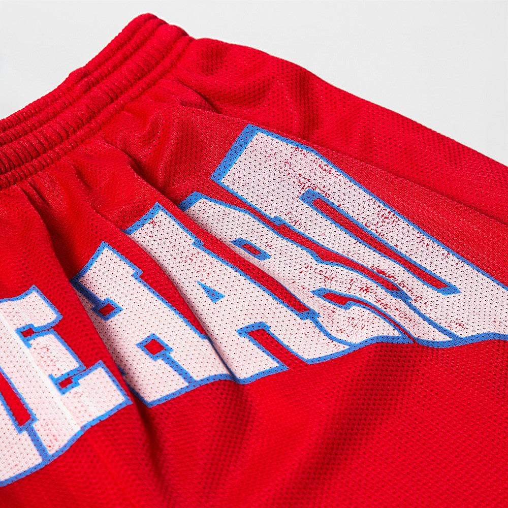 Billie Eilish HIT ME HARD MESH SHORTS Shorts 445395